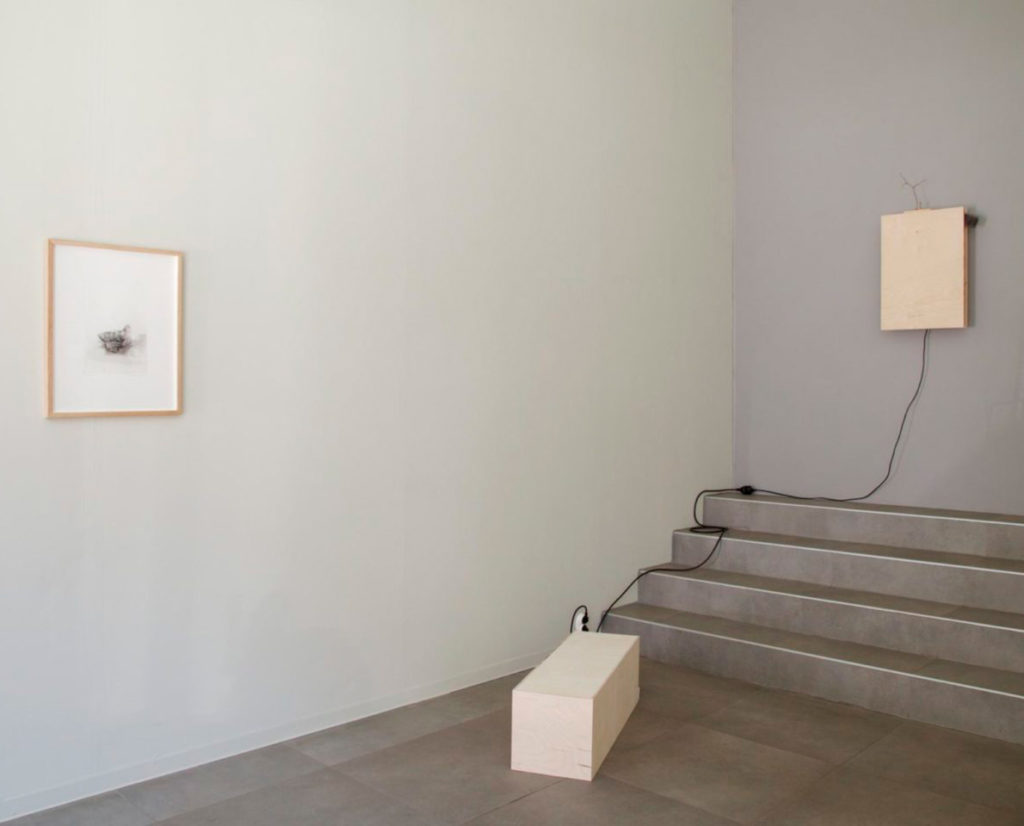 17.5.–9.6.2019
“An Autumn Hike With Her” combines traditional graphics, photography and sculptures with movement and performativity.