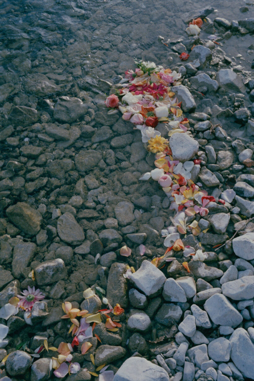 offerings_ananyatanttu2017