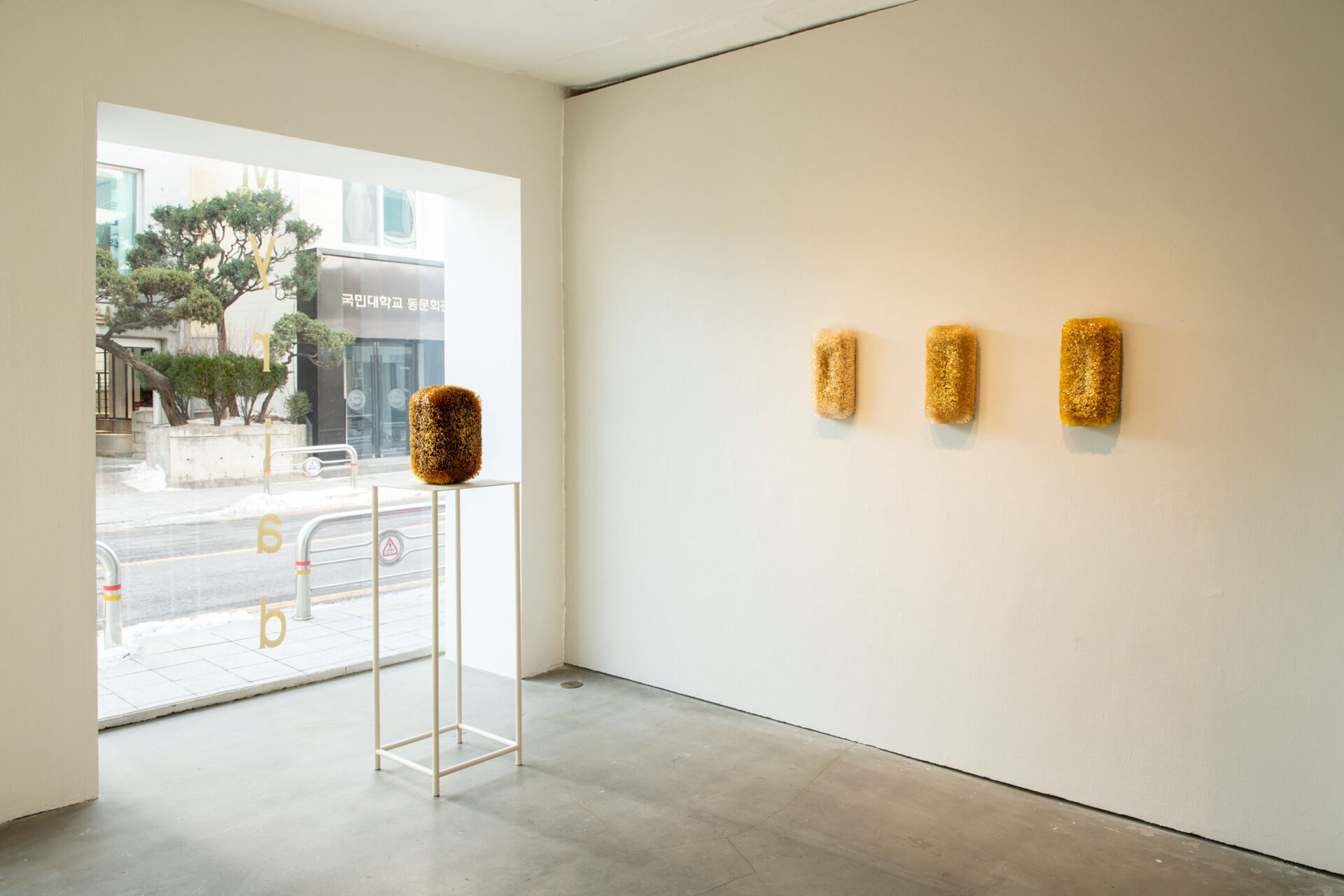 Renata-Schirm---Myriad,-Seoul_8388