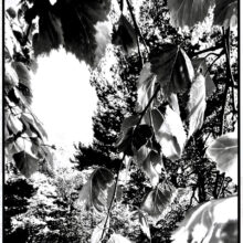 Ekeberg-series-2.-Jostain-jonnekin