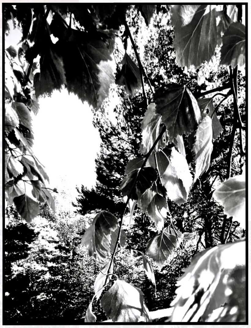 Ekeberg-series-2.-Jostain-jonnekin