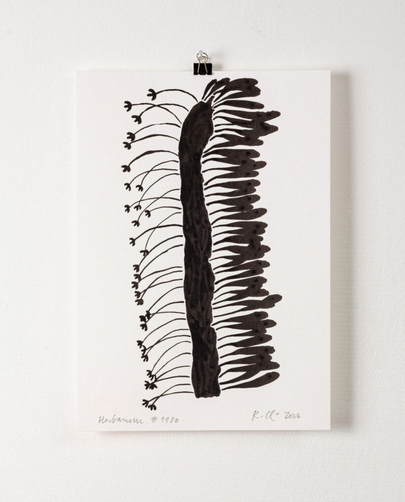 rekakiraly_herbarium1130_inkdrawing_artwork_lokalhelsinki2024-4
