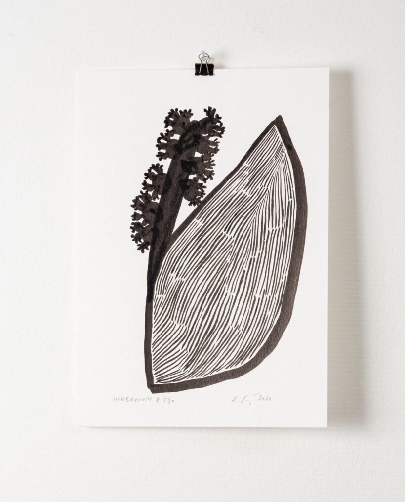 rekakiraly_herbarium130_inkdrawing_artwork_lokalhelsinki2024-5