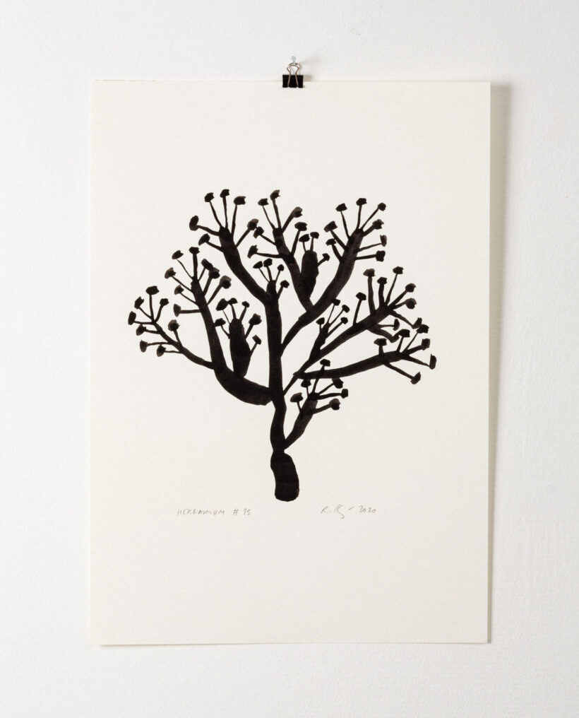 rekakiraly_herbarium13_inkdrawing_artwork_lokalhelsinki2024-12