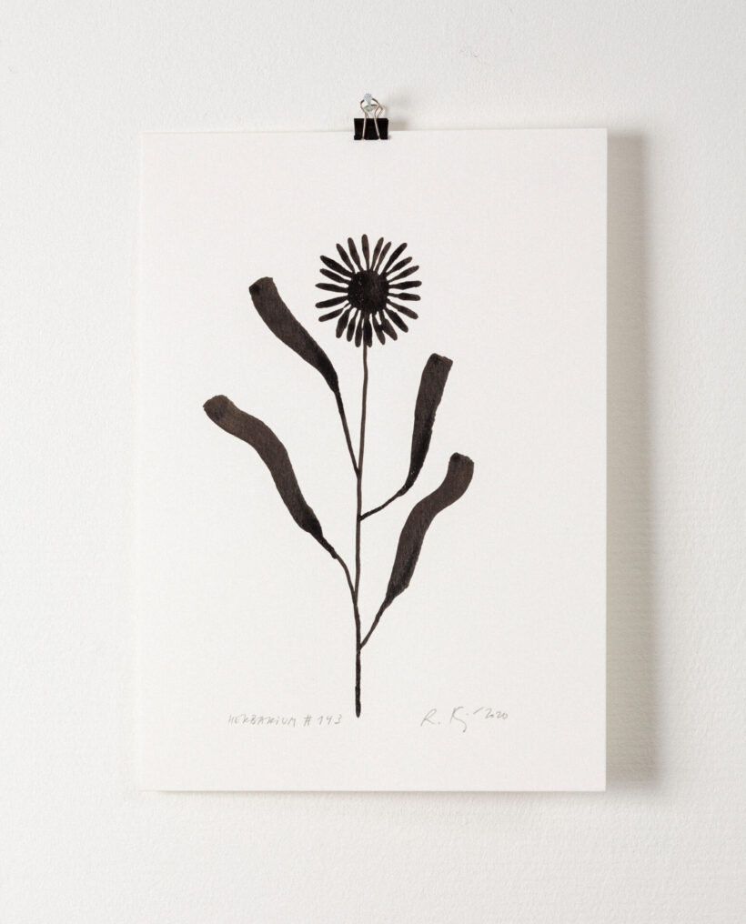 rekakiraly_herbarium143_inkdrawing_artwork_lokalhelsinki2024-9