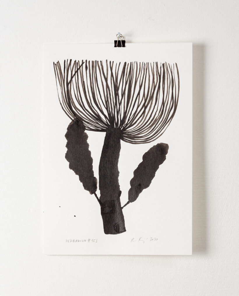 rekakiraly_herbarium153_inkdrawing_artwork_lokalhelsinki2024-6