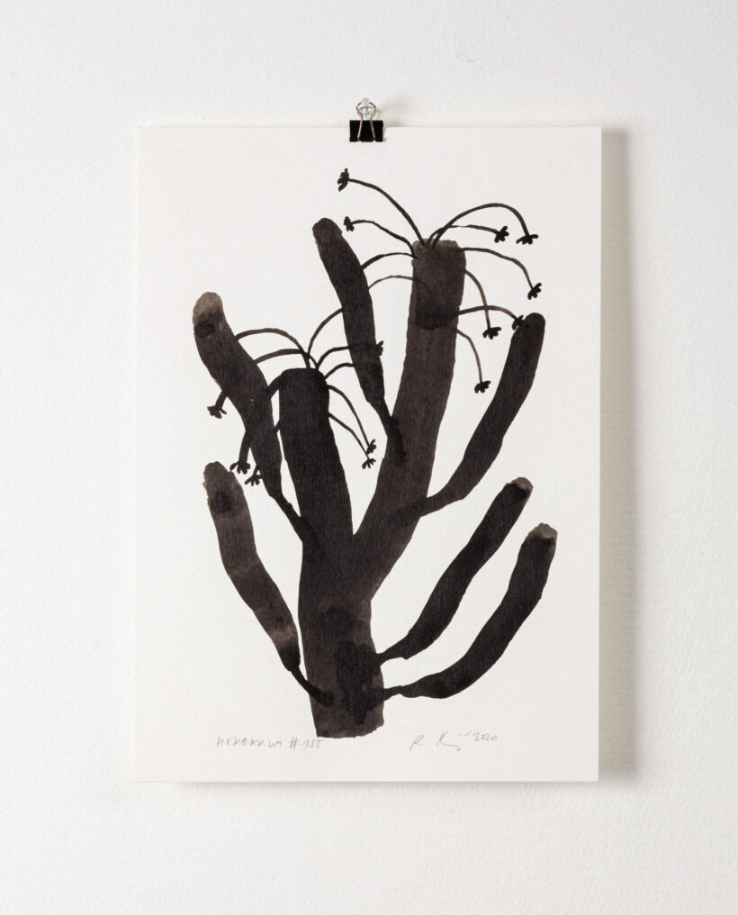 rekakiraly_herbarium155_inkdrawing_artwork_lokalhelsinki2024-11