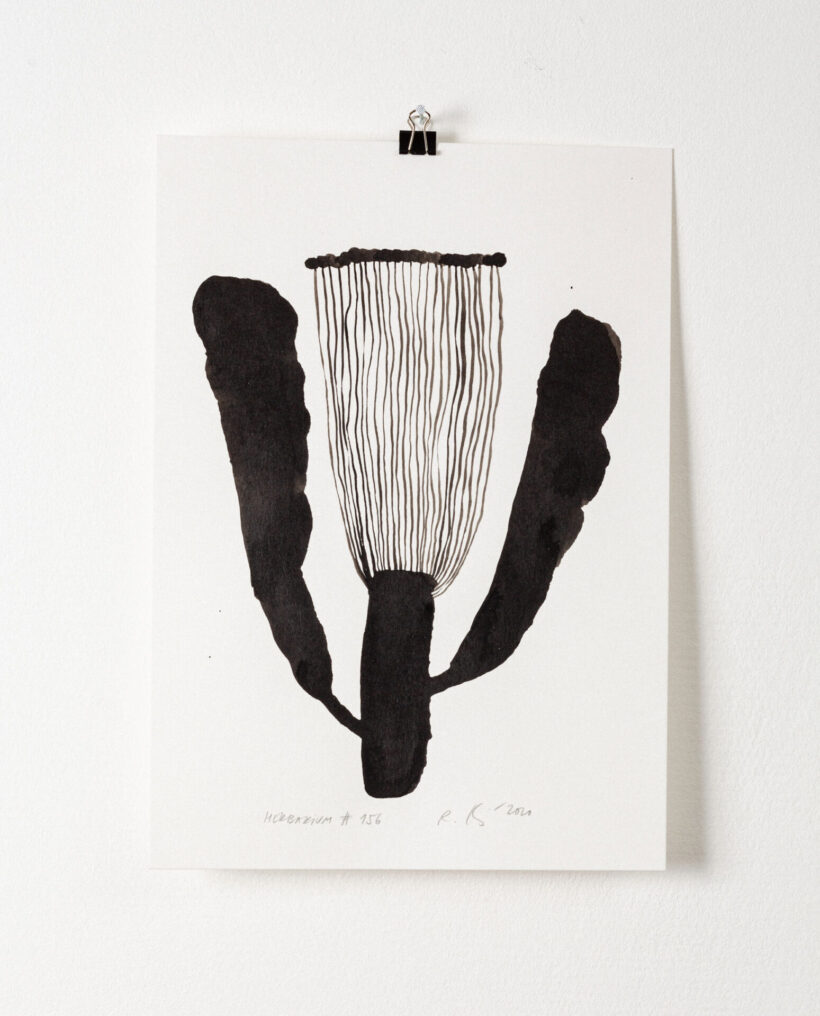 rekakiraly_herbarium156_inkdrawing_artwork_lokalhelsinki2024-10