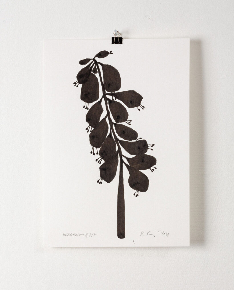 rekakiraly_herbarium217_inkdrawing_artwork_lokalhelsinki2024-7