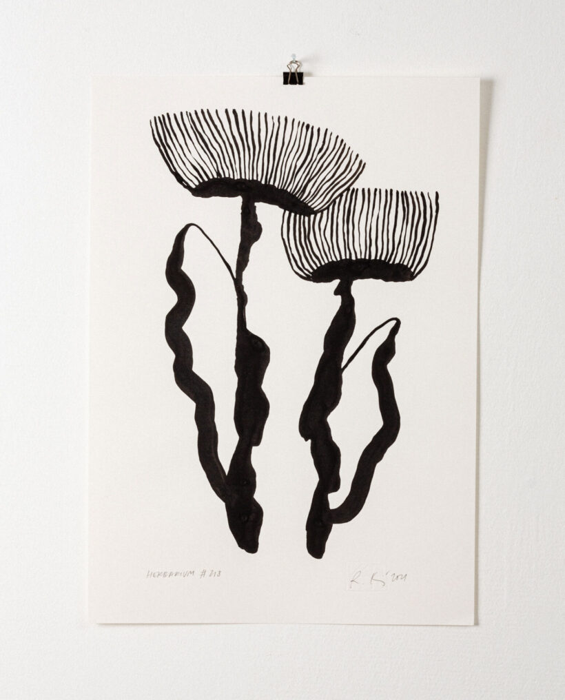 rekakiraly_herbarium218_inkdrawing_artwork_lokalhelsinki2024-23