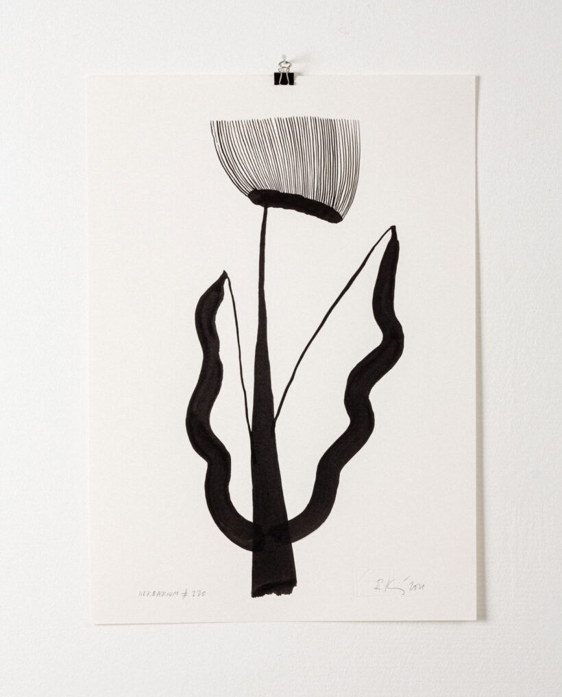 rekakiraly_herbarium220_inkdrawing_artwork_lokalhelsinki2024-16
