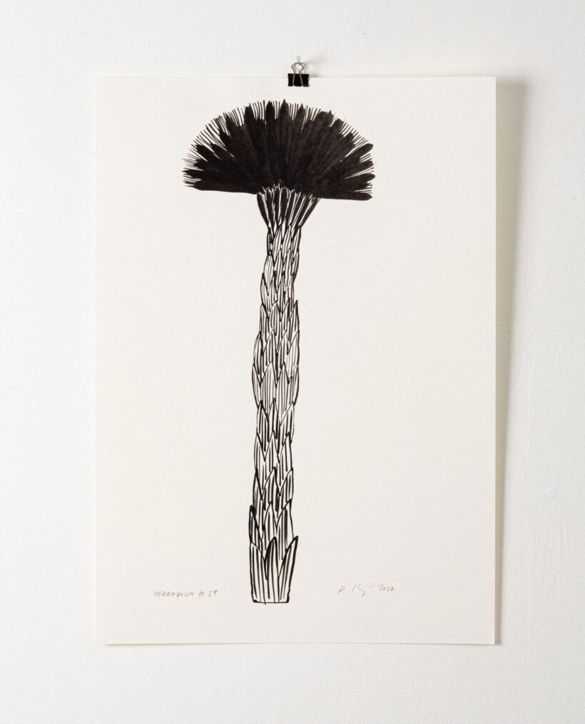 rekakiraly_herbarium59_inkdrawing_artwork_lokalhelsinki2024-22