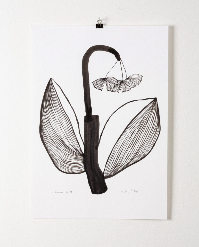 rekakiraly_herbarium83_inkdrawing_artwork_lokalhelsinki2024-21