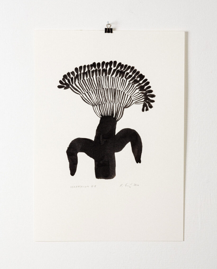 rekakiraly_herbarium9_inkdrawing_artwork_lokalhelsinki2024-13