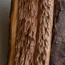 didingwingyin_wood_artwork_sculpture_lokalhelsinki2025-46