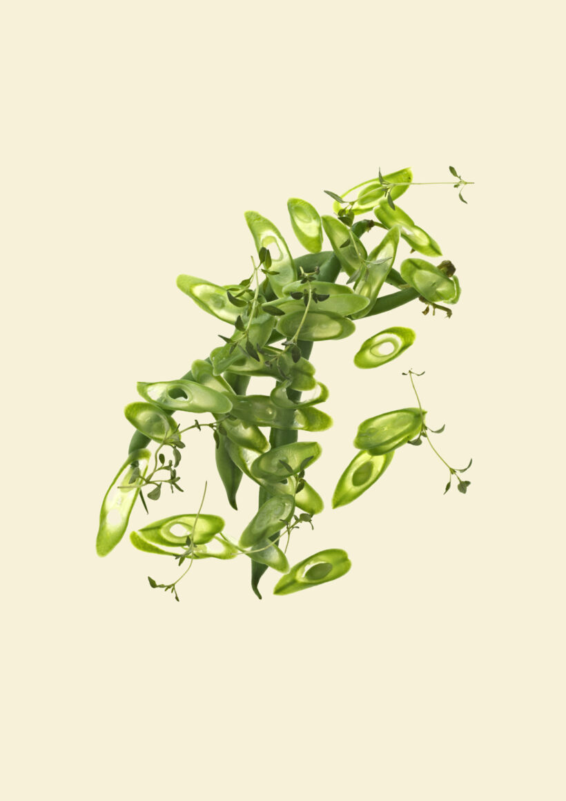 juhapekkalaakio_photographgreen_bean_A3