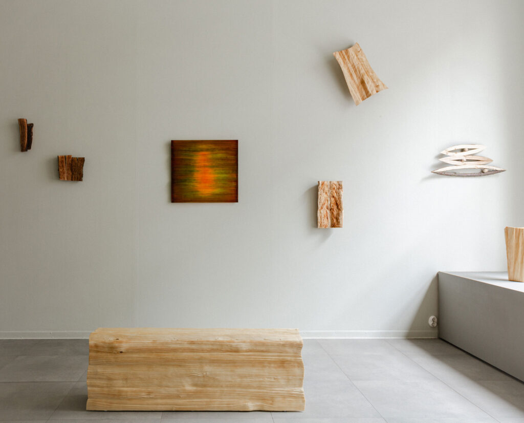 28.2.–29.3.2025
“Through carving, I aim to reveal the unseen essence of wood. Every mark, texture, and cut represents my reflections on the material, inviting viewers to connect with the wood's silent yet hidden language. Each artwork is a record of thinking through making, where each piece embodies my study of the nature of wood itself.”