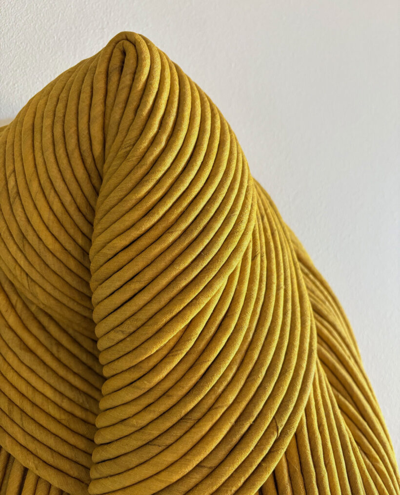 Sini-Villi_Sunflower_close