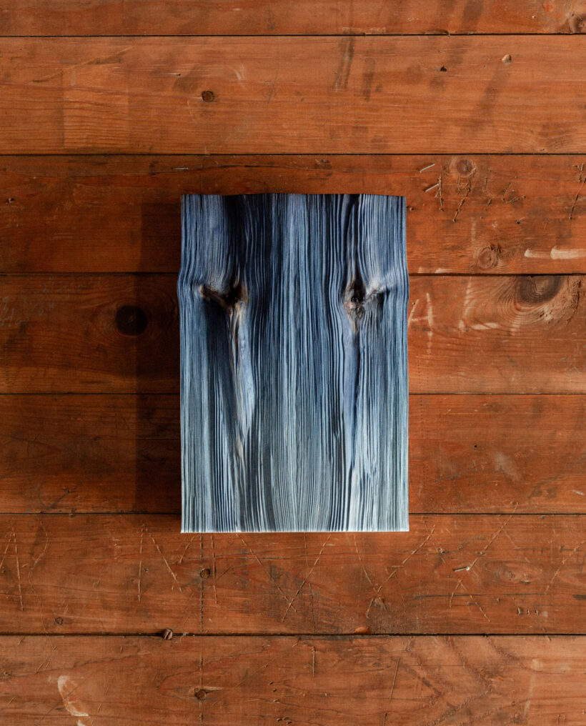 didingwingyin_wooden_artwork_sommarstilleben_lokalhelsinki2025