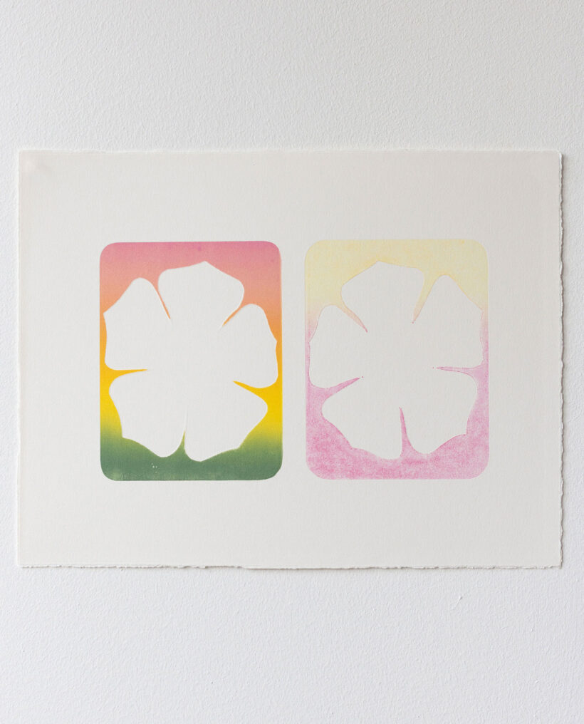 miravornanen_kukkamuotoja-(ruusukasvit-1)